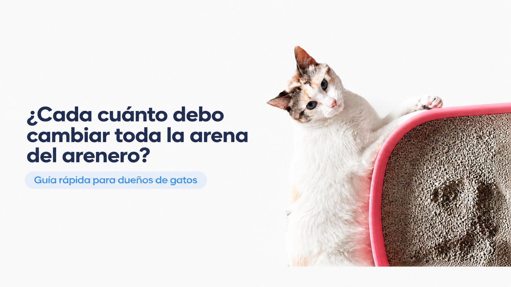 ¿Cada cuanto debo cambiar toda la arena del arenero?