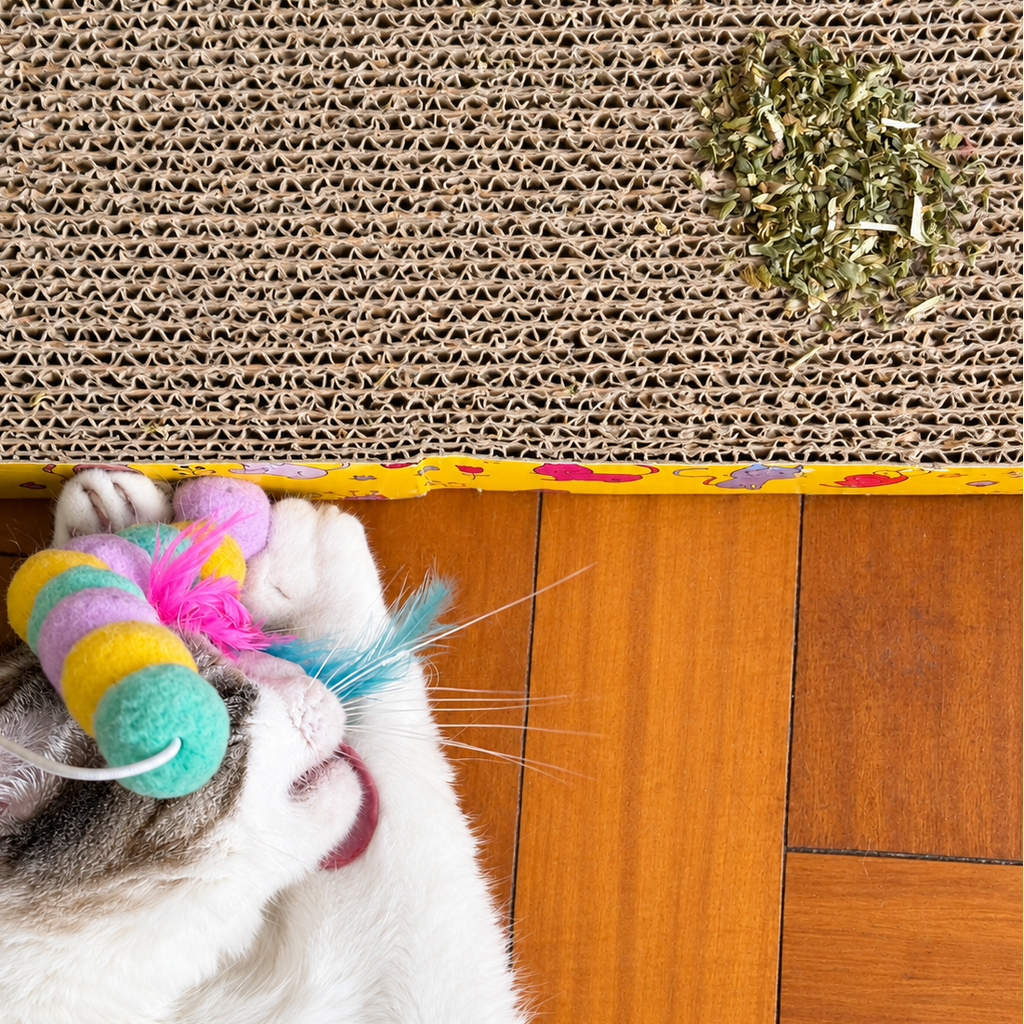 Catnip 30 g Hierba Gatuna