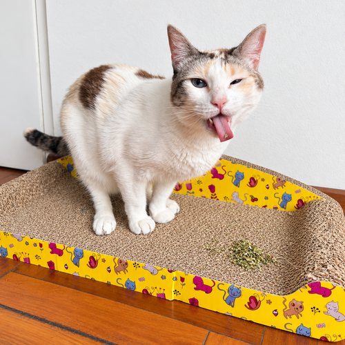 Catnip 30 g Hierba Gatuna