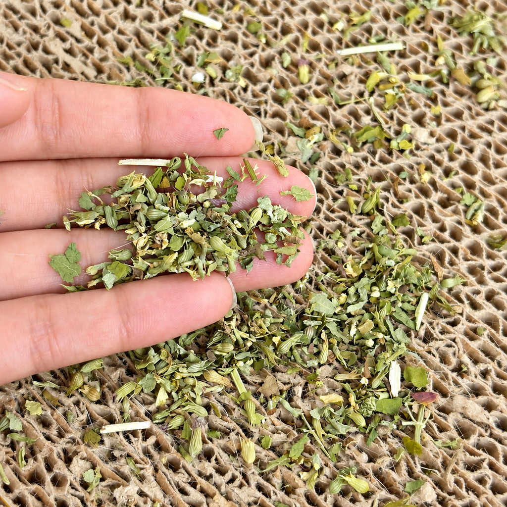 Catnip 30 g Hierba Gatuna